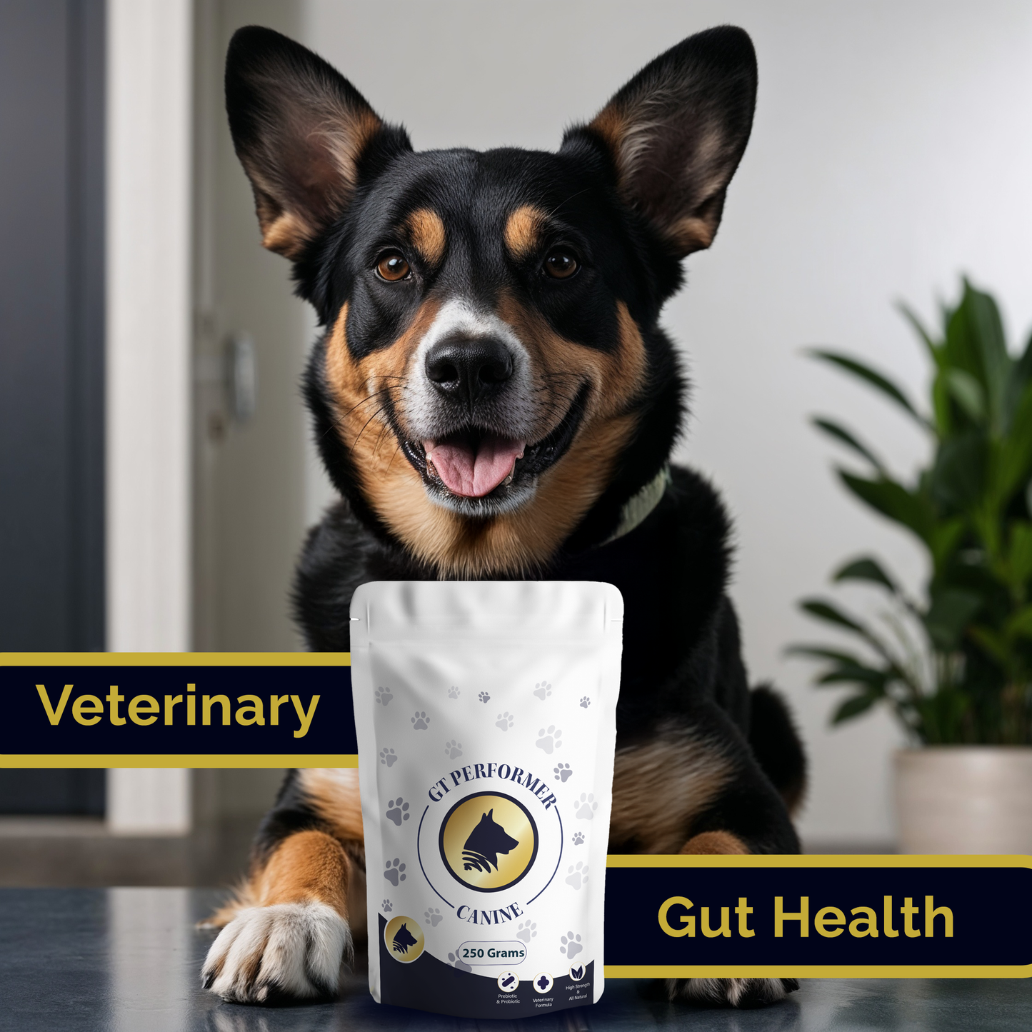 GT Performer Canine 250g